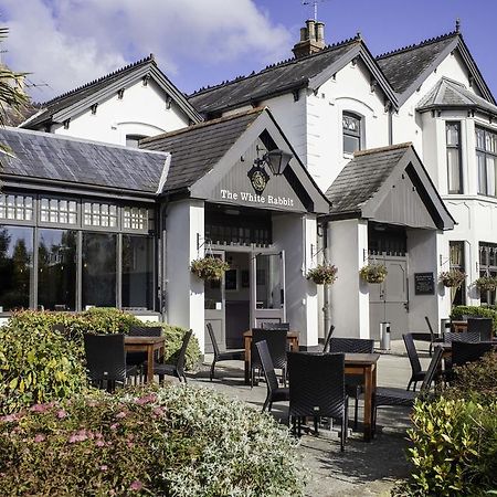 White Rabbit By Chef & Brewer Collection Hotel Lyndhurst Eksteriør billede